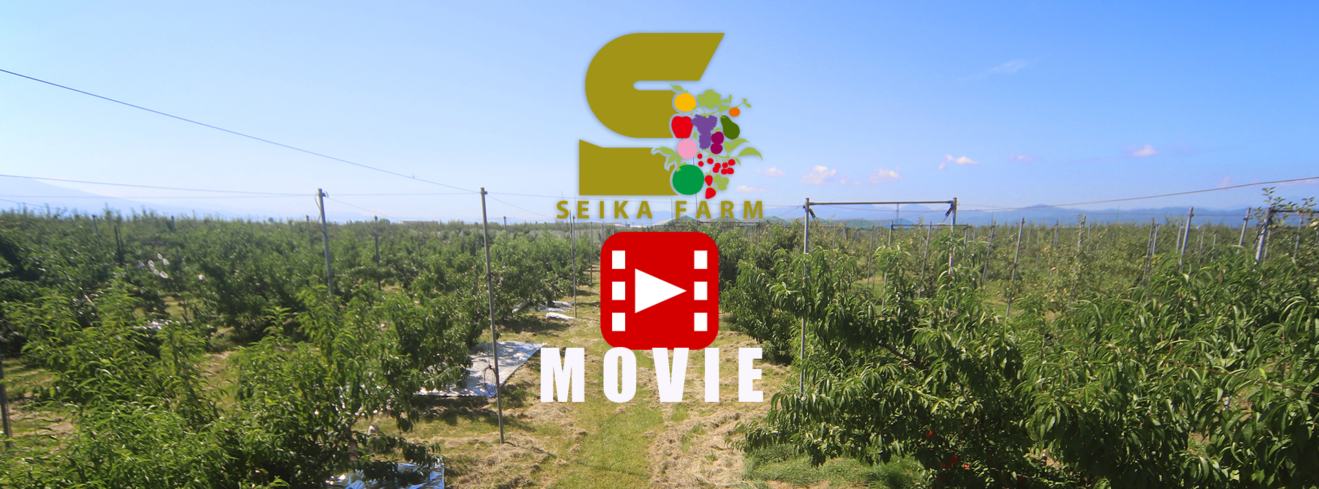 ビデオのサムネイル